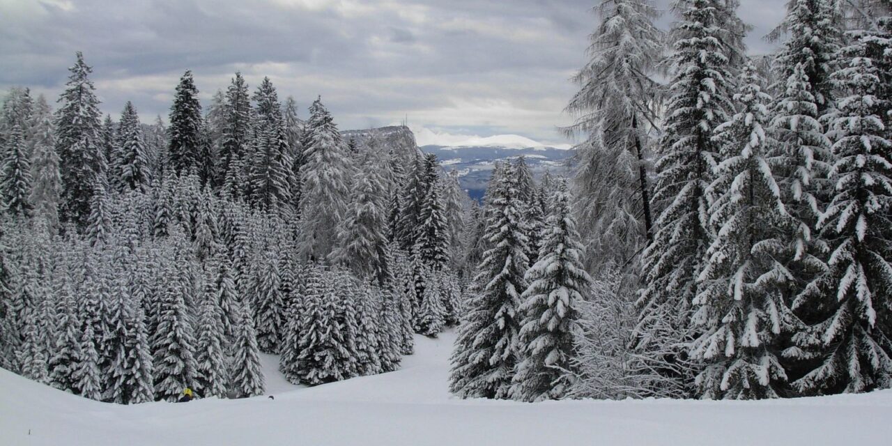 Is December Too Late for a Heating Tune Up in North Carolina?